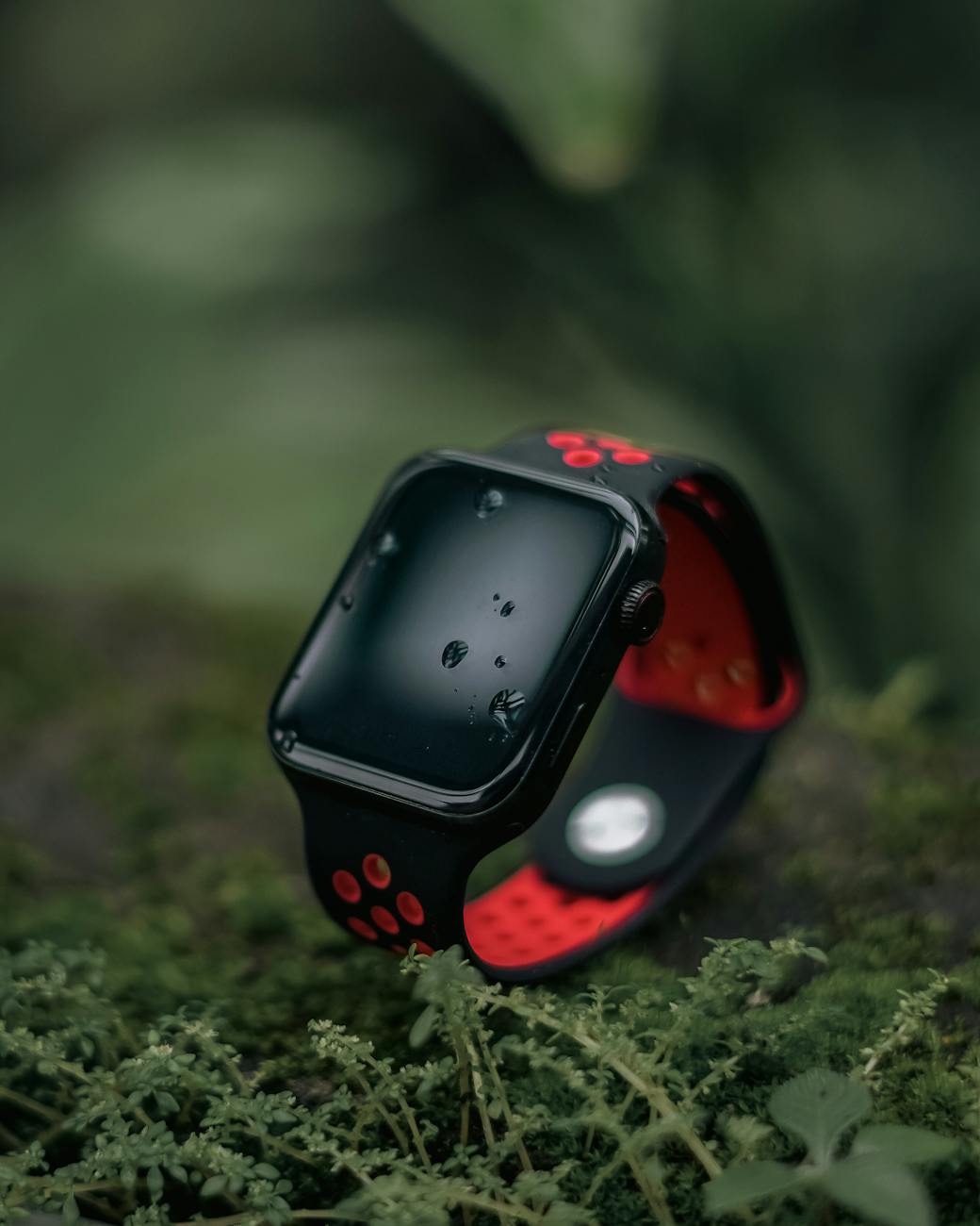 electric watch in a forest